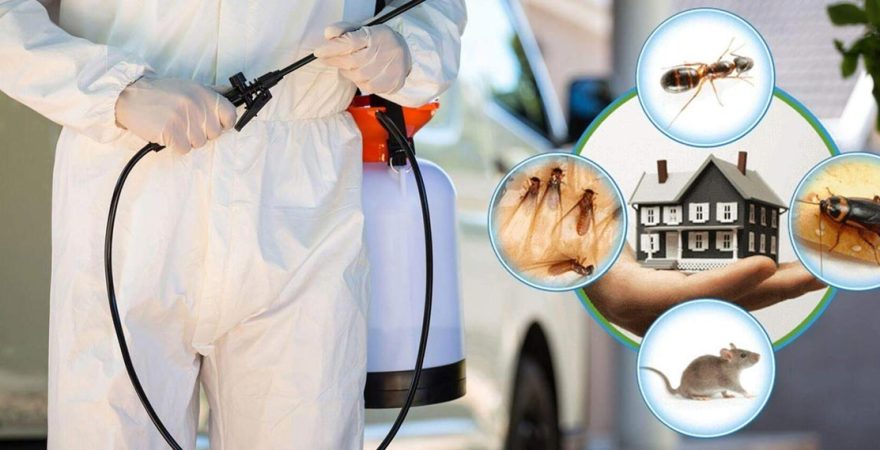 Kapaklı Böcek İlaçlama