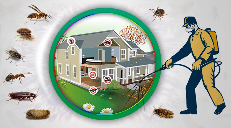 Kapaklı Böcek İlaçlama