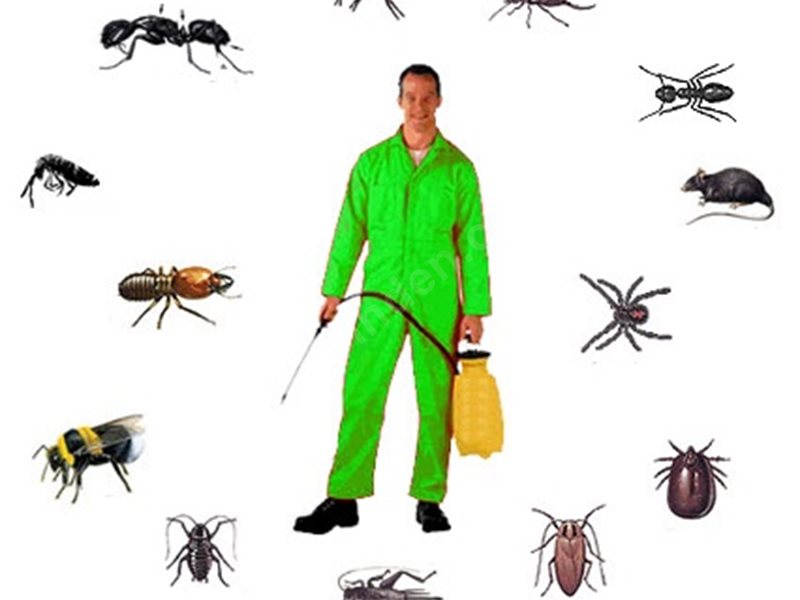 Kapaklı Böcek İlaçlama